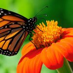 Our wish to you this holiday season